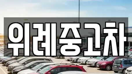 서울 송파구 중고차 전문 위례중고차