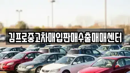 서울 송파구 중고차매입 전문 김프로중고차매입판매수출매매센터