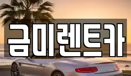 서울 영등포구 영등포동4가 단기렌트카 전문 금미렌트카