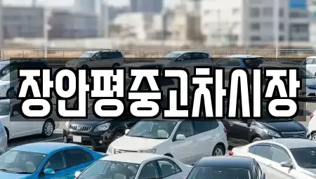 서울 영등포구 영등포동4가 중고차매매 전문 장안평중고차시장