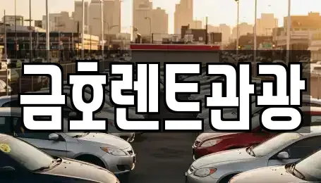 서울 종로구 관철동 렌트카 전문 금호렌트관광