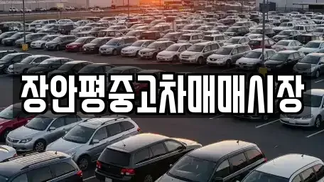 서울 종로구 관철동 중고차매매 전문 장안평중고차매매시장