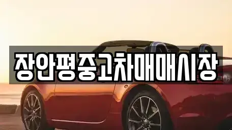 서울 중구 장충동1가 중고차 전문 장안평중고차매매시장