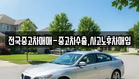 서울 중구 장충동1가 중고차 전문 전국중고차매매-중고차수출,사고노후차매입