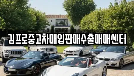 서울 중구 장충동1가 중고차매입 전문 김프로중고차매입판매수출매매센터