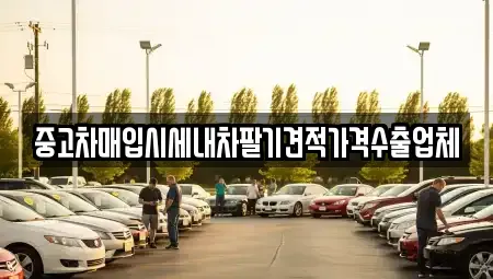 서울 중구 장충동1가 중고차매입 전문 중고차매입시세내차팔기견적가격수출업체
