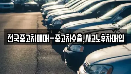 서울특별시 광진구 중고차 전문 전국중고차매매-중고차수출,사고노후차매입