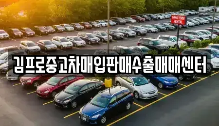 서울특별시 광진구 중고차매입 전문 김프로중고차매입판매수출매매센터
