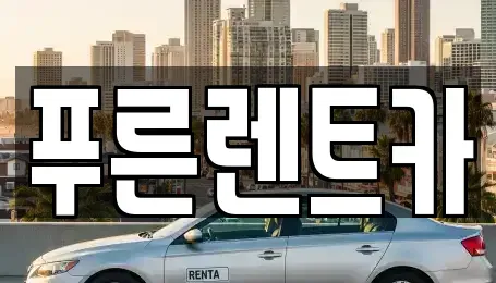 서울특별시 서대문구 대신동 장기렌트카 전문 푸른렌트카