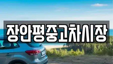 서울특별시 서대문구 대신동 중고차 전문 장안평중고차시장