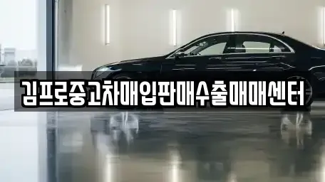 서울특별시 서대문구 대신동 중고차매입 전문 김프로중고차매입판매수출매매센터