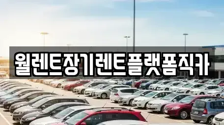 서울특별시 성북구 동소문동2가 장기렌트카 전문 월렌트장기렌트플랫폼직카