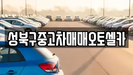 서울특별시 성북구 동소문동2가 중고차매매 전문 성북구중고차매매오토셀카