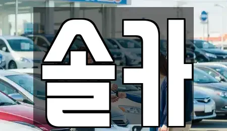 서울특별시 성북구 동소문동2가 중고차매매 전문 솔카