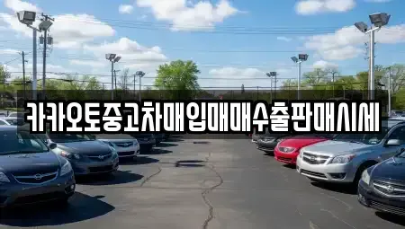 서울특별시 영등포구 양평동 중고차매입 전문 카카오토중고차매입매매수출판매시세