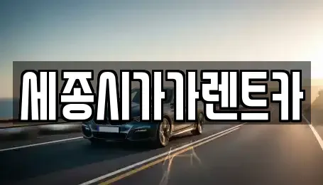 세종특별자치시 아름동 렌트카 전문 세종시가가렌트카