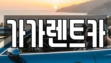 세종특별자치시 아름동 장기렌트카 전문 가가렌트카