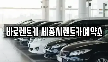 세종특별자치시 아름동 장기렌트카,중고차,렌트카,단기렌트카,중고차매입,중고차매매