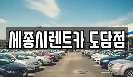 세종특별자치시 아름동 장기렌트카 전문 세종시렌트카 도담점