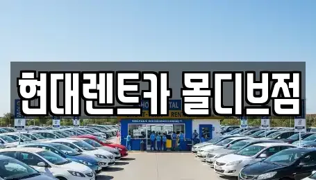 세종특별자치시 아름동 장기렌트카 전문 현대렌트카 몰디브점