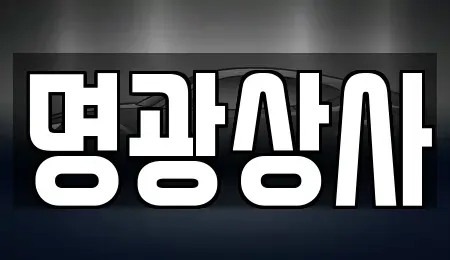 세종특별자치시 아름동 중고차 전문 명광상사