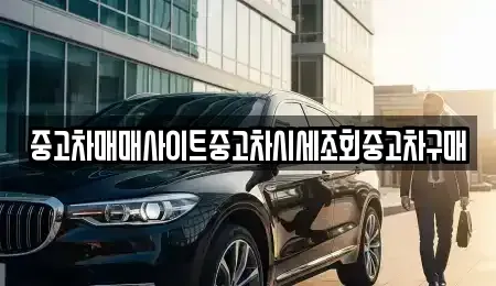 세종특별자치시 아름동 중고차매매 전문 중고차매매사이트중고차시세조회중고차구매