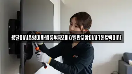 용달이사소형이사원룸투룸오피스텔반포장이사1톤트럭이사