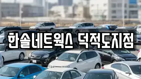 인천 옹진군 덕적면 렌트카 전문 한솔네트웍스 덕적도지점