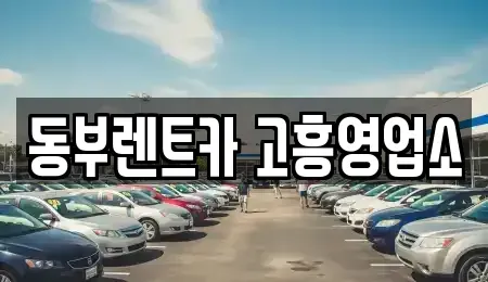 전남 고흥군 포두면 렌트카 전문 동부렌트카 고흥영업소