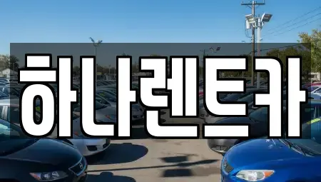 전남 고흥군 포두면 렌트카 전문 하나렌트카