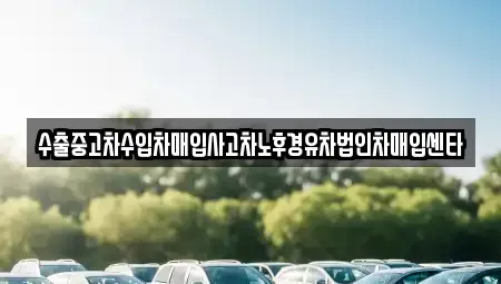 전남 목포시 죽교동 중고차매매 전문 수출중고차수입차매입사고차노후경유차법인차매입센타