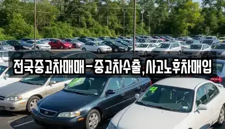전남 목포시 해안동3가 단기렌트카,중고차매입,중고차매매,중고차,렌트카,장기렌트카