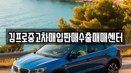 전북특별자치도 전주시 완산구 경원동3가 중고차매입 전문 김프로중고차매입판매수출매매센터
