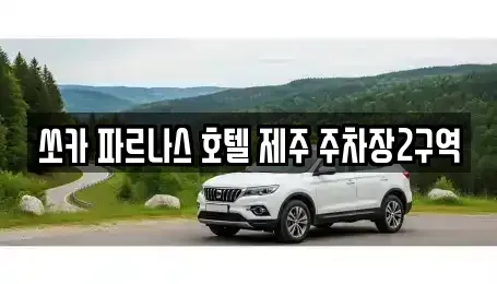 제주특별자치도 서귀포시 중문동 렌트카 전문 쏘카 파르나스 호텔 제주 주차장2구역