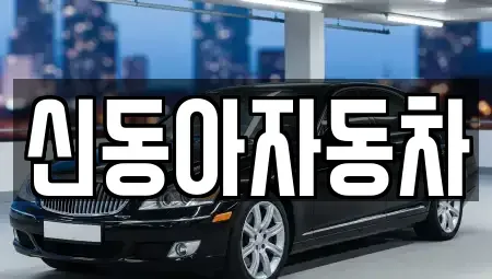 제주특별자치도 서귀포시 중문동 중고차 전문 신동아자동차