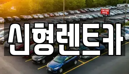 충북 제천시 의림동 렌트카 전문 신형렌트카