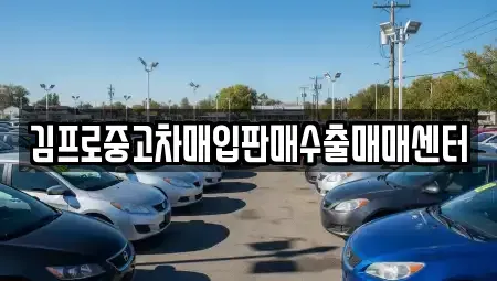 충북 제천시 의림동 중고차매입 전문 김프로중고차매입판매수출매매센터