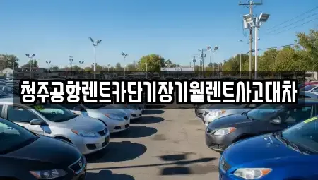 충북 청주시 서원구 미평동 단기렌트카 전문 청주공항렌트카단기장기월렌트사고대차