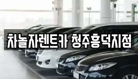 충북 청주시 서원구 미평동 렌트카 전문 차놀자렌트카 청주흥덕지점