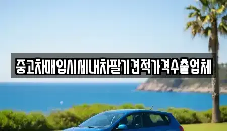 충북 청주시 서원구 미평동 중고차매입 전문 중고차매입시세내차팔기견적가격수출업체