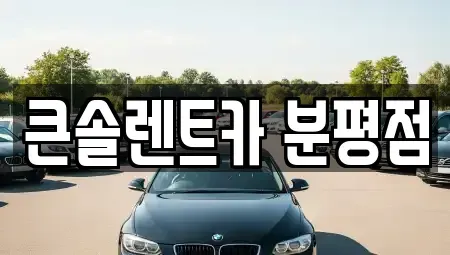 충북 청주시 서원구 장성동 렌트카 전문 큰솔렌트카 분평점