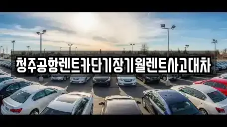 충북 청주시 서원구 장성동 장기렌트카,중고차,렌트카,단기렌트카,중고차매입,중고차매매