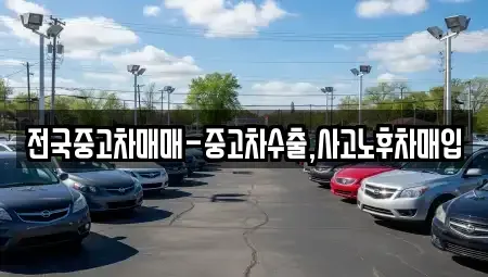 충북 청주시 서원구 장성동 중고차매입 전문 전국중고차매매-중고차수출,사고노후차매입