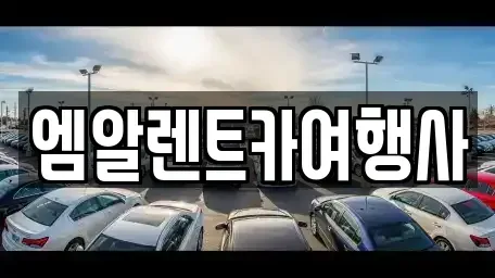 충청남도 공주시 월미동 렌트카 전문 엠알렌트카여행사