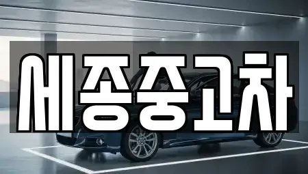 충청남도 공주시 월미동 중고차매매 전문 세종중고차