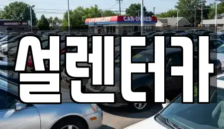 충청남도 논산시 연무읍 렌트카 전문 설렌터카