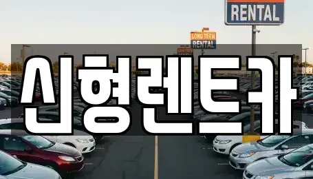충청북도 제천시 명동 렌트카 전문 신형렌트카