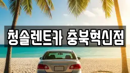 충청북도 진천군 덕산읍 렌트카 전문 청솔렌트카 충북혁신점